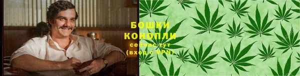 СК Снежногорск