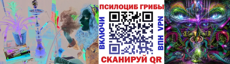 где продают   Белинский  Галлюциногенные грибы прущие грибы 